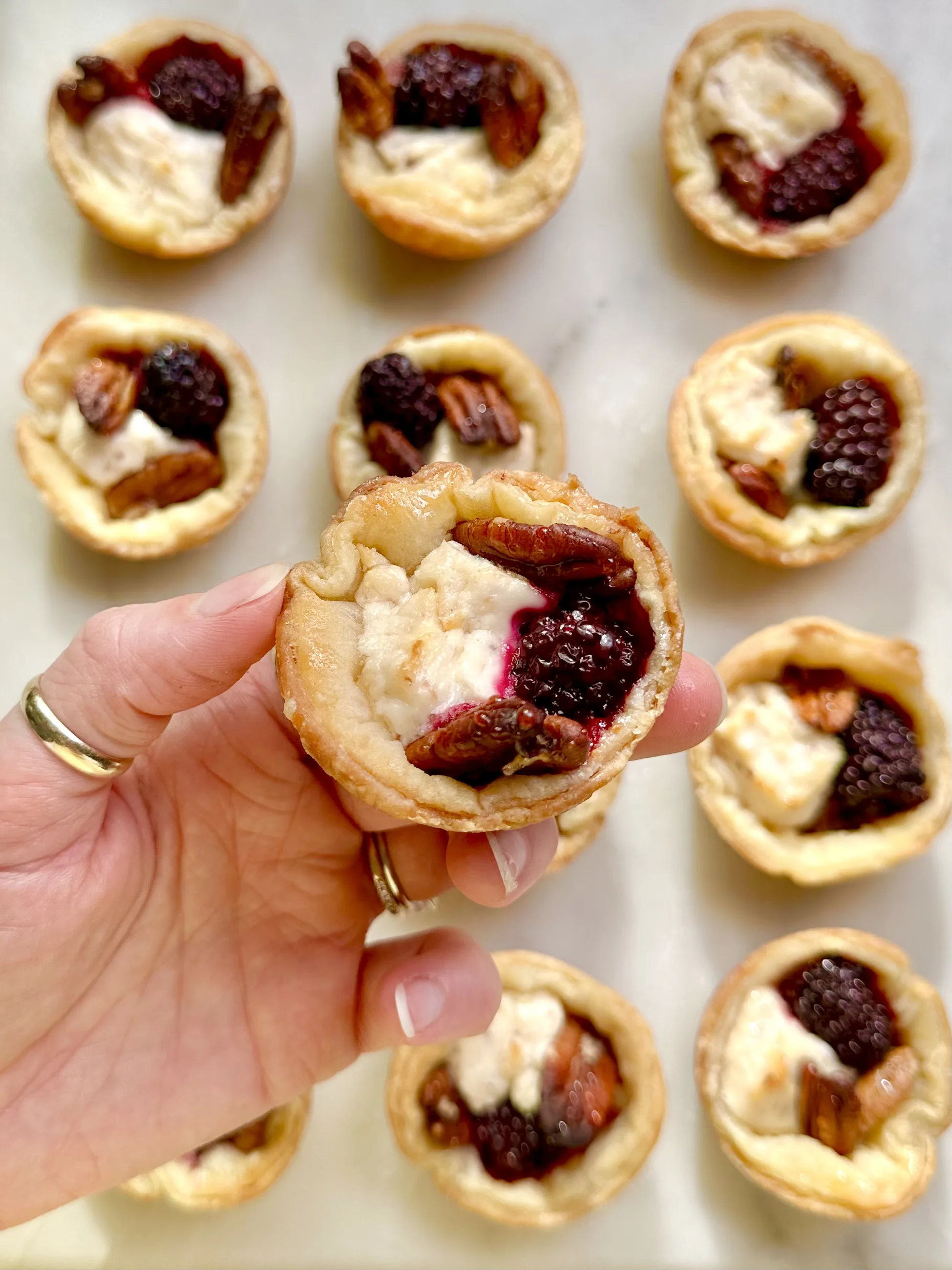 Picture for Goat Chzzz Blackberry n' Pecan Pastry Bitez